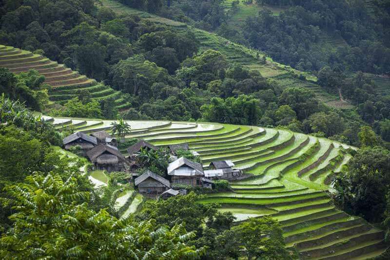 rizières terrasses nord vietnam