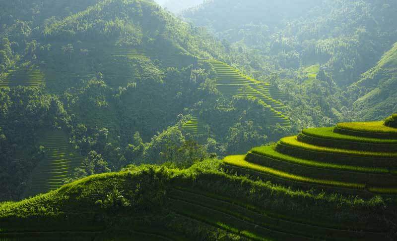 rizières terrasses nord vietnam