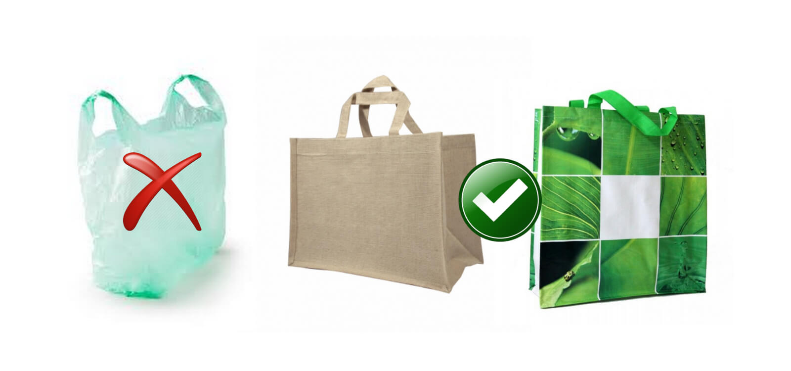 écologie voyage asie