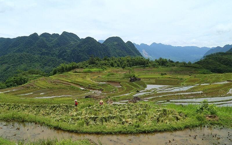 rizières en terrasses et karsts dans la réserve naturelle de Pu Luong Amica Travel