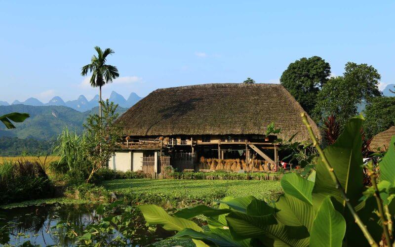 maison sur pilotis tay con linh